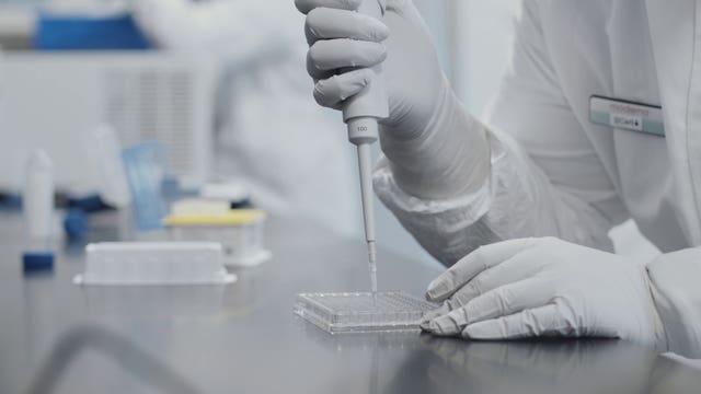 Coronavirus – Mon Nov 16, 2020