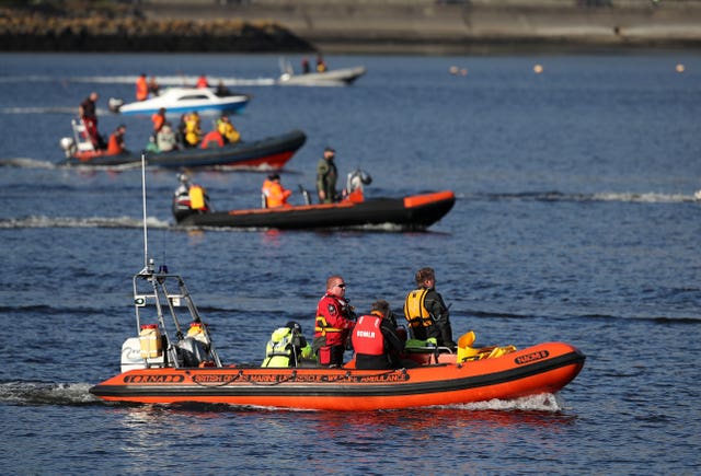 Bottlenose whales in the Clyde