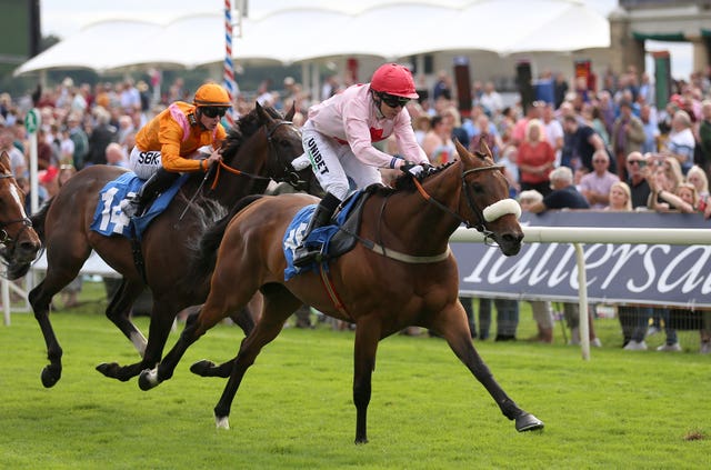 Arcadian Sunrise was a York winner last season