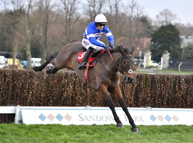 Dolos beat Gino Trail on Saturday