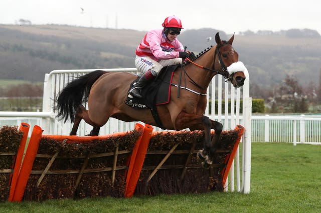 Brewin’upastorm at Cheltenham