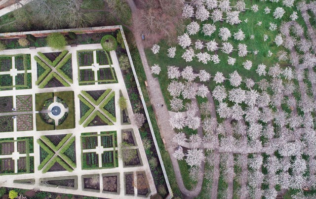 Blossom in Alnwick Garden