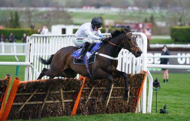 Constitution Hill winning the Supreme Novices' Hurdle