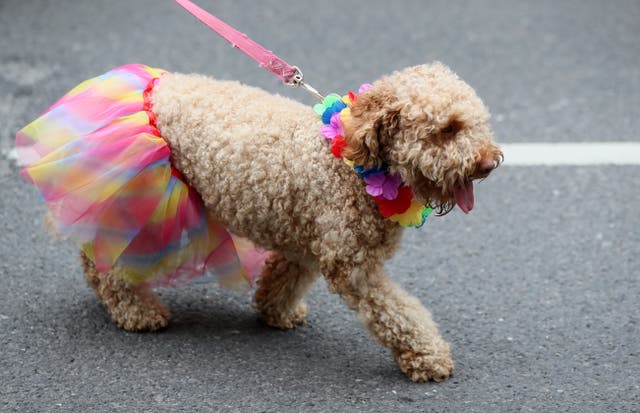Dublin Pride parade