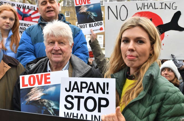 Whaling in Japan