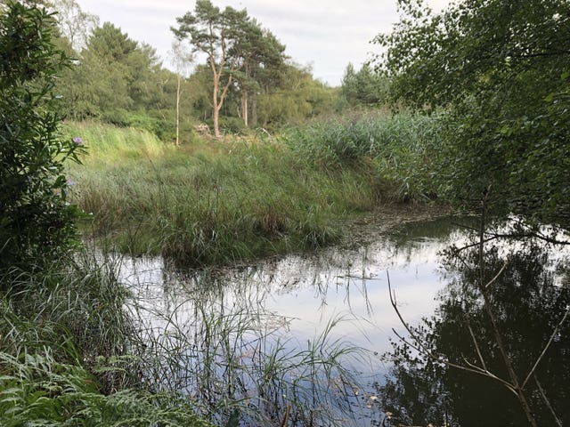 Rewilding Challenge Fund