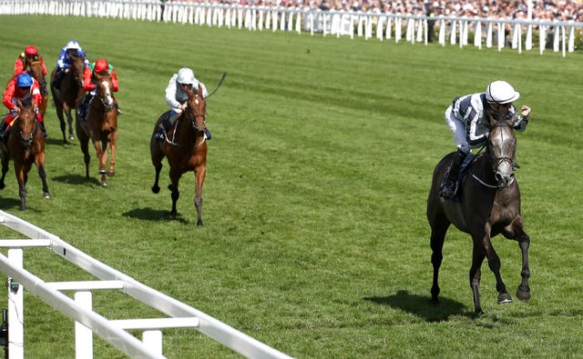 Alpha Centauri was a sensational winner of the Coronation Stakes at Royal Ascot