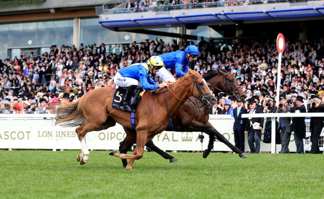 Dream Of Dreams just failed to catch Blue Point