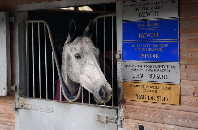 L'Eau Du Sud is second favourite for the Arkle