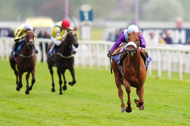 See The Fire was "electric" at York earlier in the season