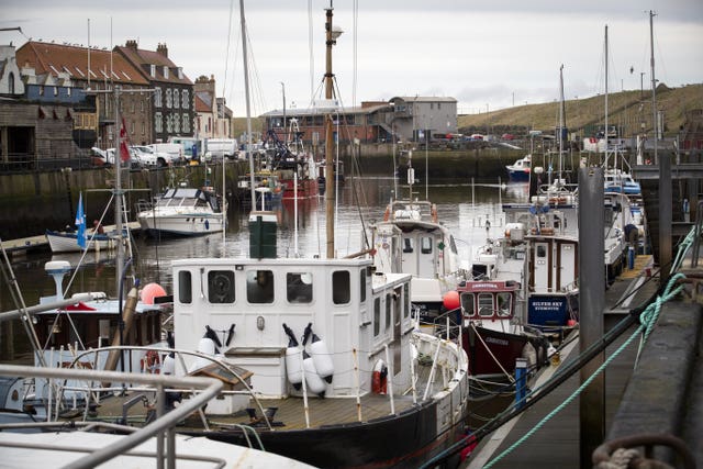 Fishing boats