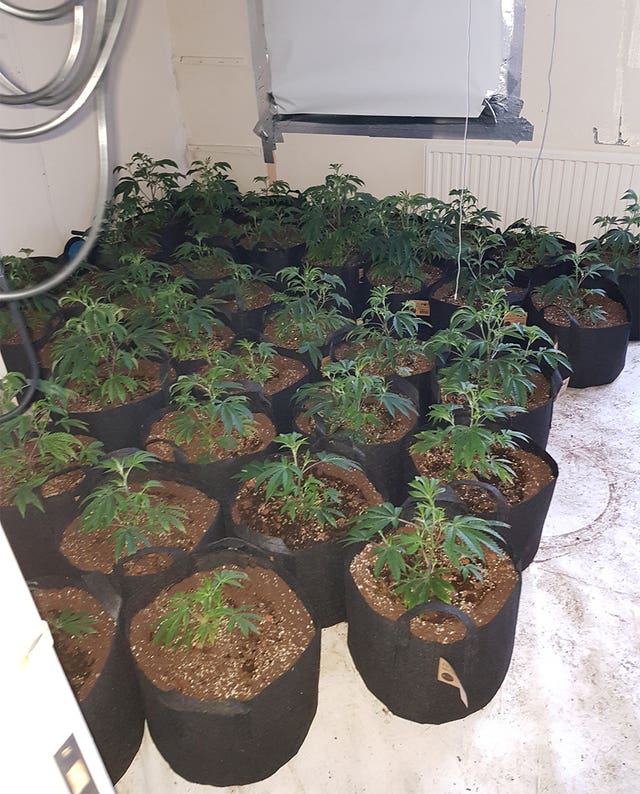 Crawley drugs raids
