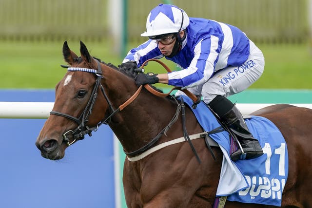 Tim Easterby's Winter Power