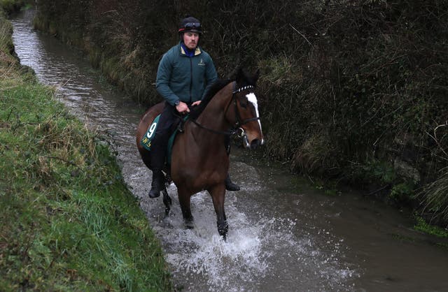 Cilaos Emery has a paddle near Willie Mullins' yard in Closutton
