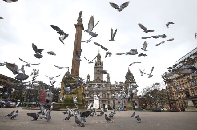 Pigeons fly in a quiet-looking George Square in Glasgow