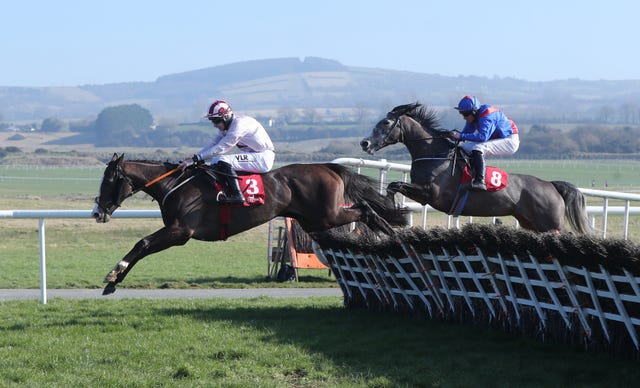 Black Tears was a winner at Punchestown on Monday for Elliott