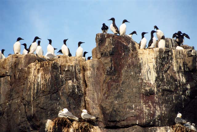 Round up of the year in nature