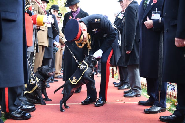 Duke of Sussex