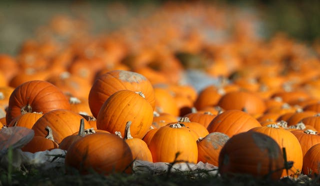 Pumpkins