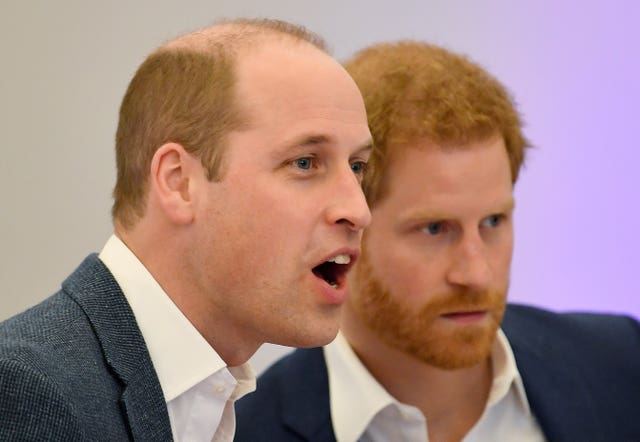 Prince William (left) and Prince Harry at the opening the Greenhouse Centre in London (Toby Melville/PA)