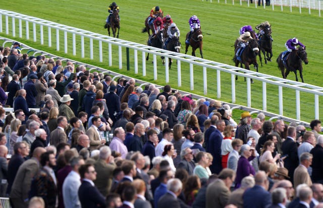 Dante Festival 2022 – Day Two – York Racecourse
