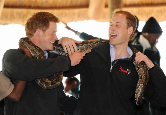 Prince Harry and Prince William pose with a rock python during a visit to the Mokolodi Nature Reserve in Gabarone, Botswana (Anthony Devlin/PA)
