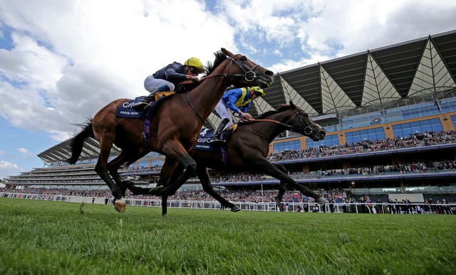Crystal Ocean was just denied by stablemate Poet's Word in the King George