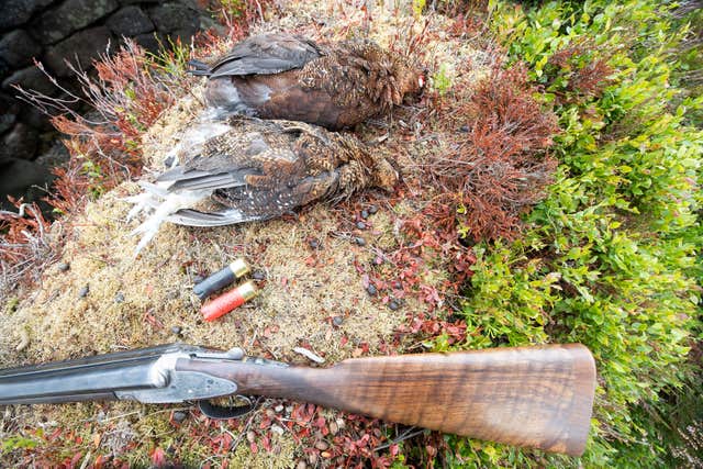 Grouse season