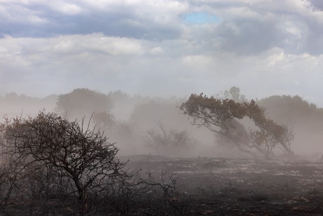 Suffolk coast wildfire