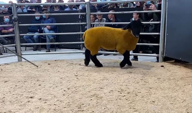 Ram sale