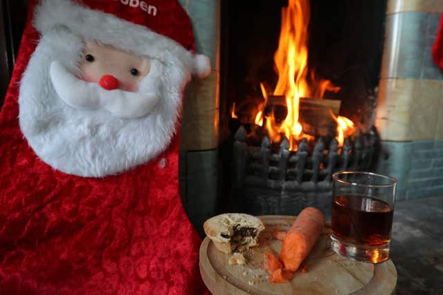 A mince pie, glass of sherry and a carrot for reindeers are left by a fireplace