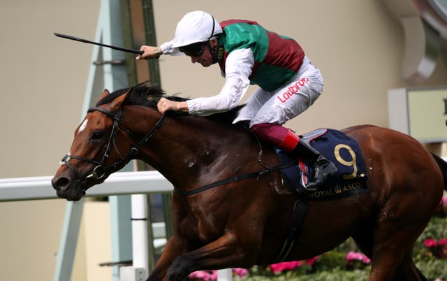 Without Parole was a Royal Ascot winner last season