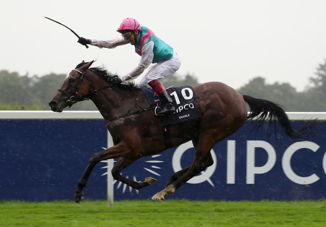 Enable looks set to return to racecourse action at Kempton rather than York