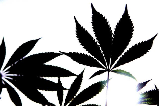 Medical cannabis