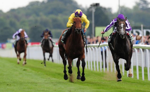 Horse Racing – Ebor Festival – Juddmonte International Day – York Racecourse