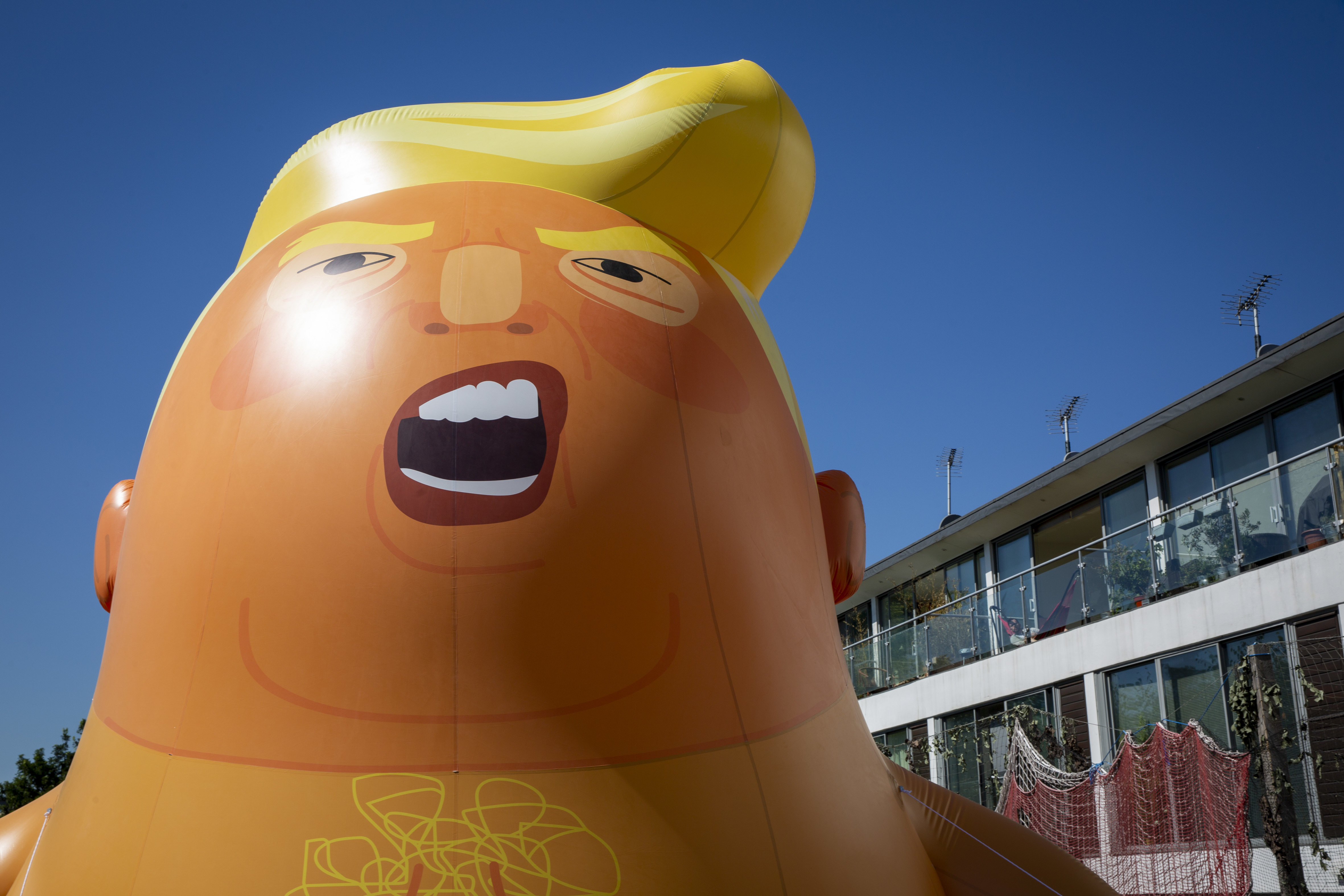 Trump protests 'embarrassing', says Republicans Overseas spokesman