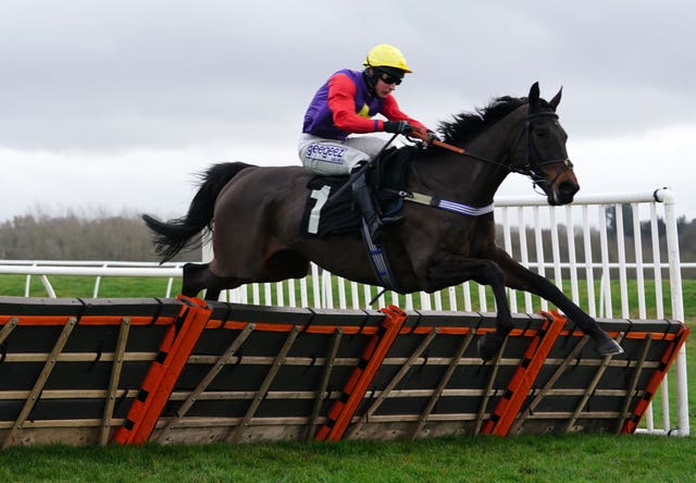 Dashel Drasher winning over hurdles at Newbury