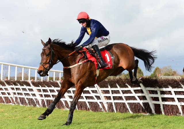 All roads now lead to the Cheltenham Festival for City Island