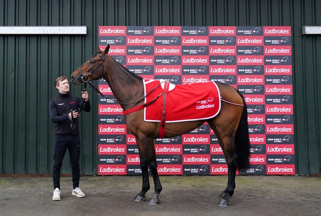 Shan Blue is bound for the Ryanair Chase