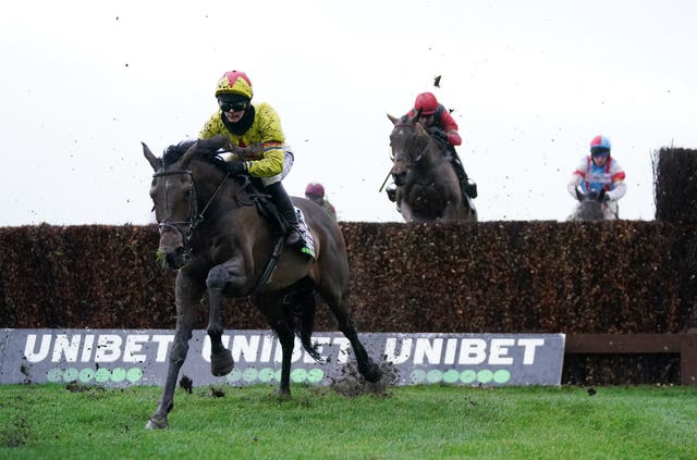 Protektorat was an easy winner at Aintree