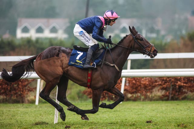 Kopek Des Bordes is one of Willie Mullins' big hopes for this year's Cheltenham Festival 