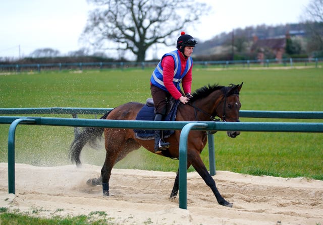Shan Blue exercising at Dan Skelton's yard