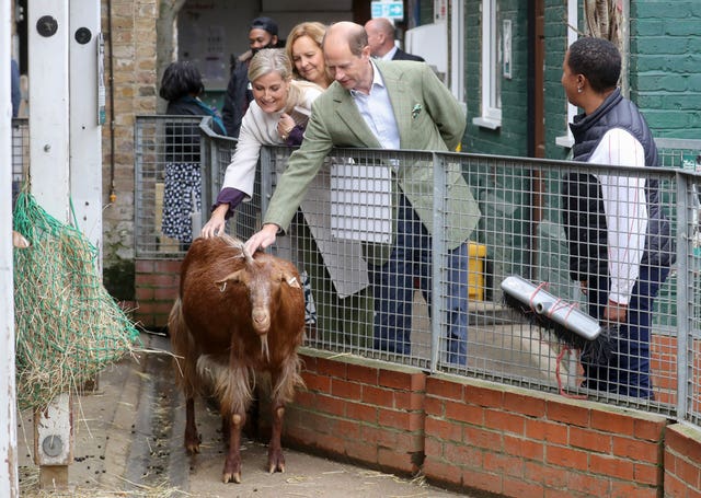 The Earl and Countess of Wessex will visit Vauxhall City Farm