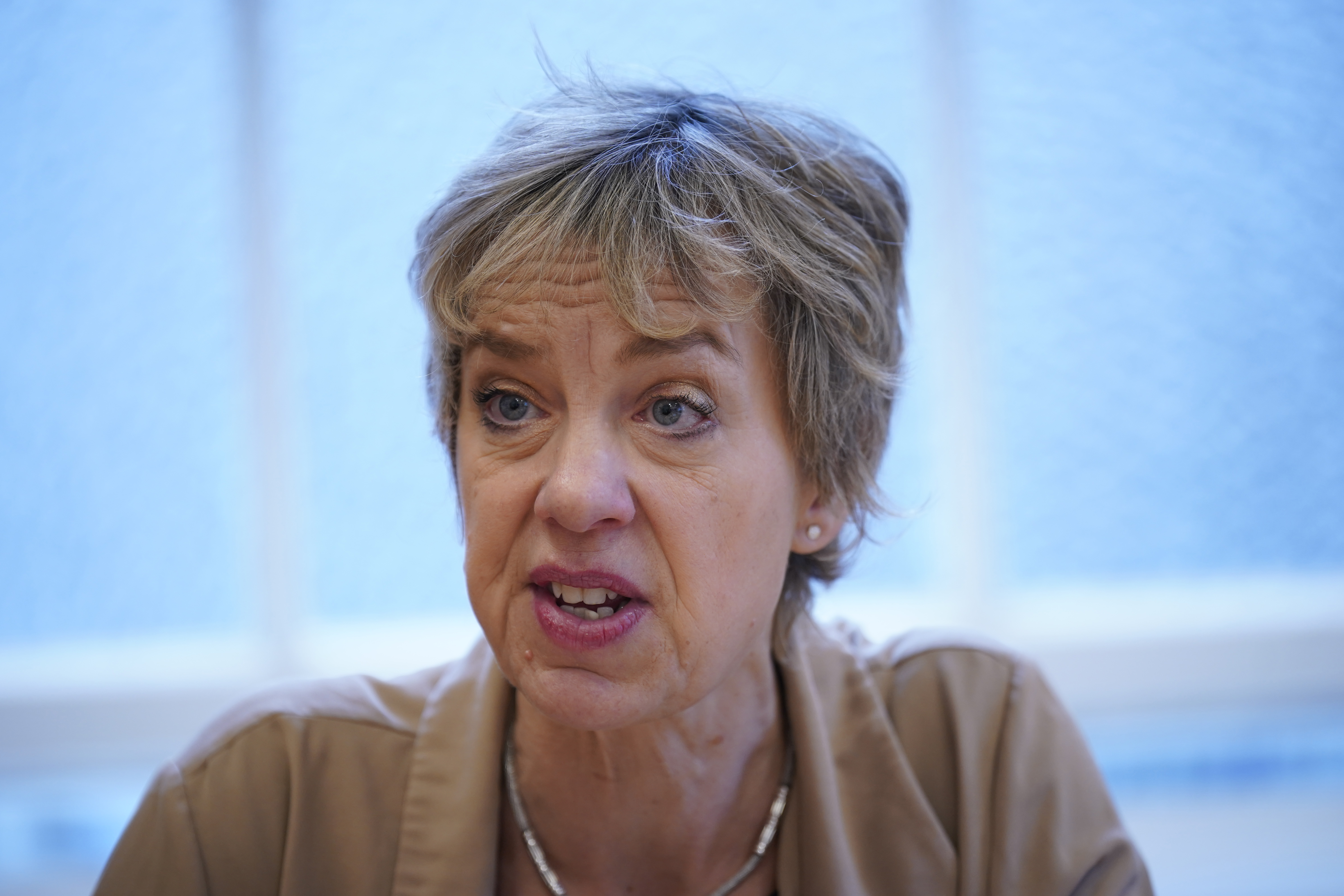 Ivana Bacik interview