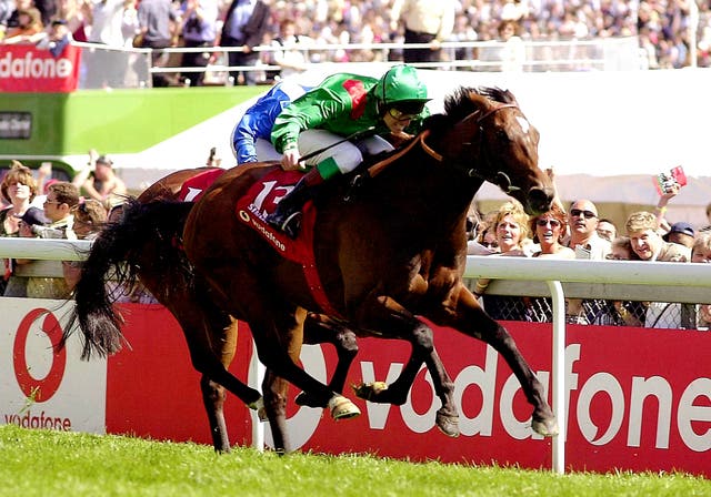 Sinndar was another Derby winner to grace the yard of John Oxx