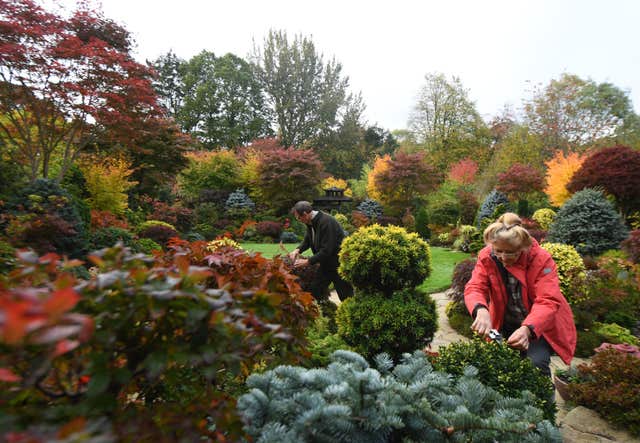 The garden has over 3,000 shrubs, trees and plants (Joe Giddens/PA)