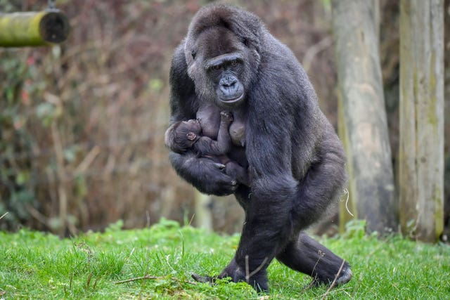 Touni carrying her baby (Ben Birchall/PA)