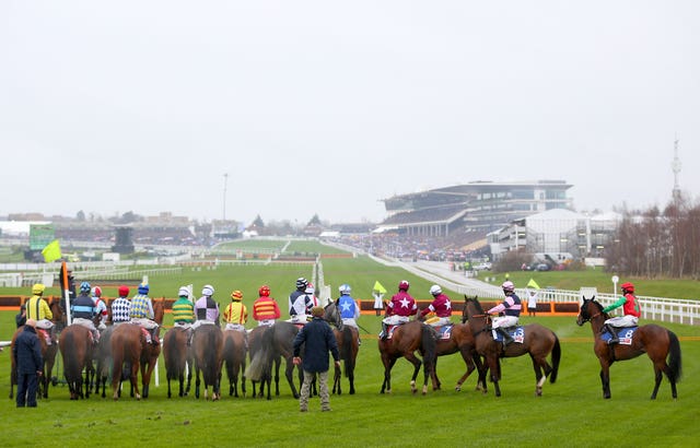 Packed stands just before what was a false start in the Supreme Novices' Hurdle