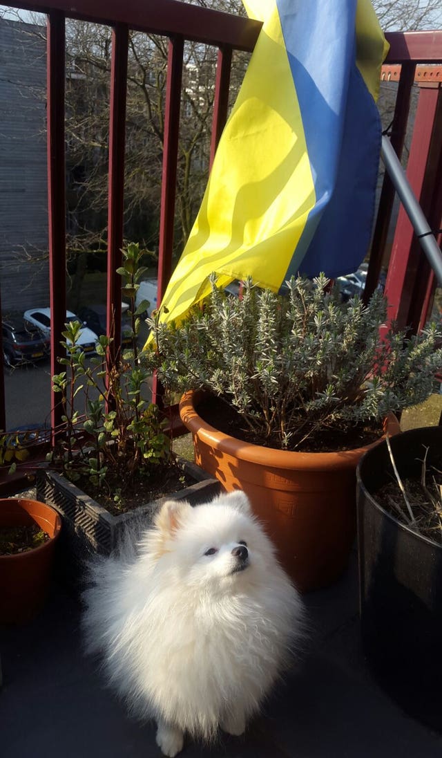 Archie is being kept quarantined in the UK