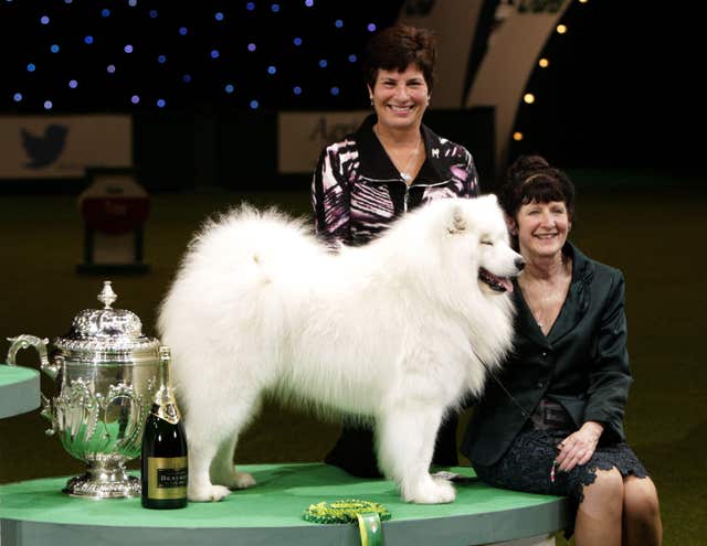 Crufts 2014